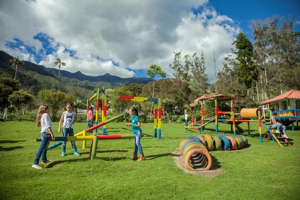 Palmas de Cocora Salento Exterior foto