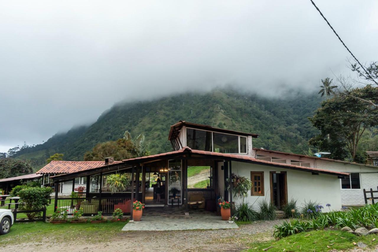 Palmas de Cocora Salento Exterior foto