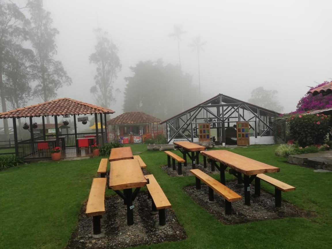 Palmas de Cocora Salento Exterior foto